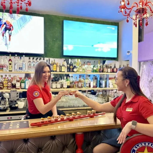 jelgava bars