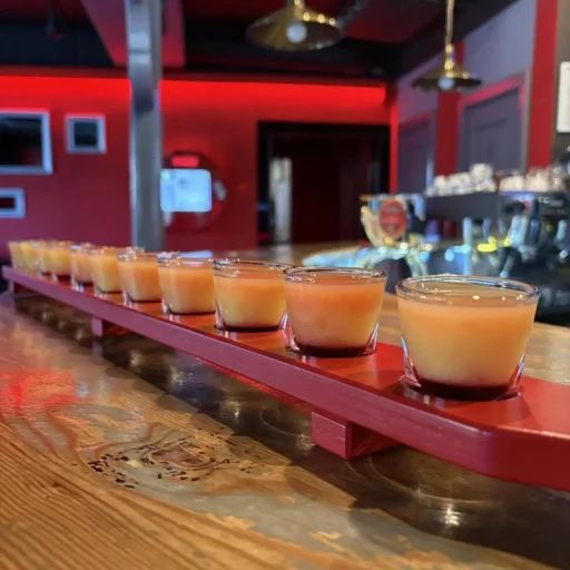 shots aluksne